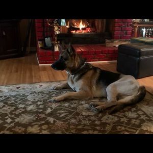 Meet your Posher, Kathy